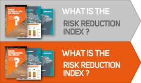 Understanding the Risk Reduction Index