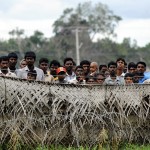Sri Lankan war-displaced civilians peer