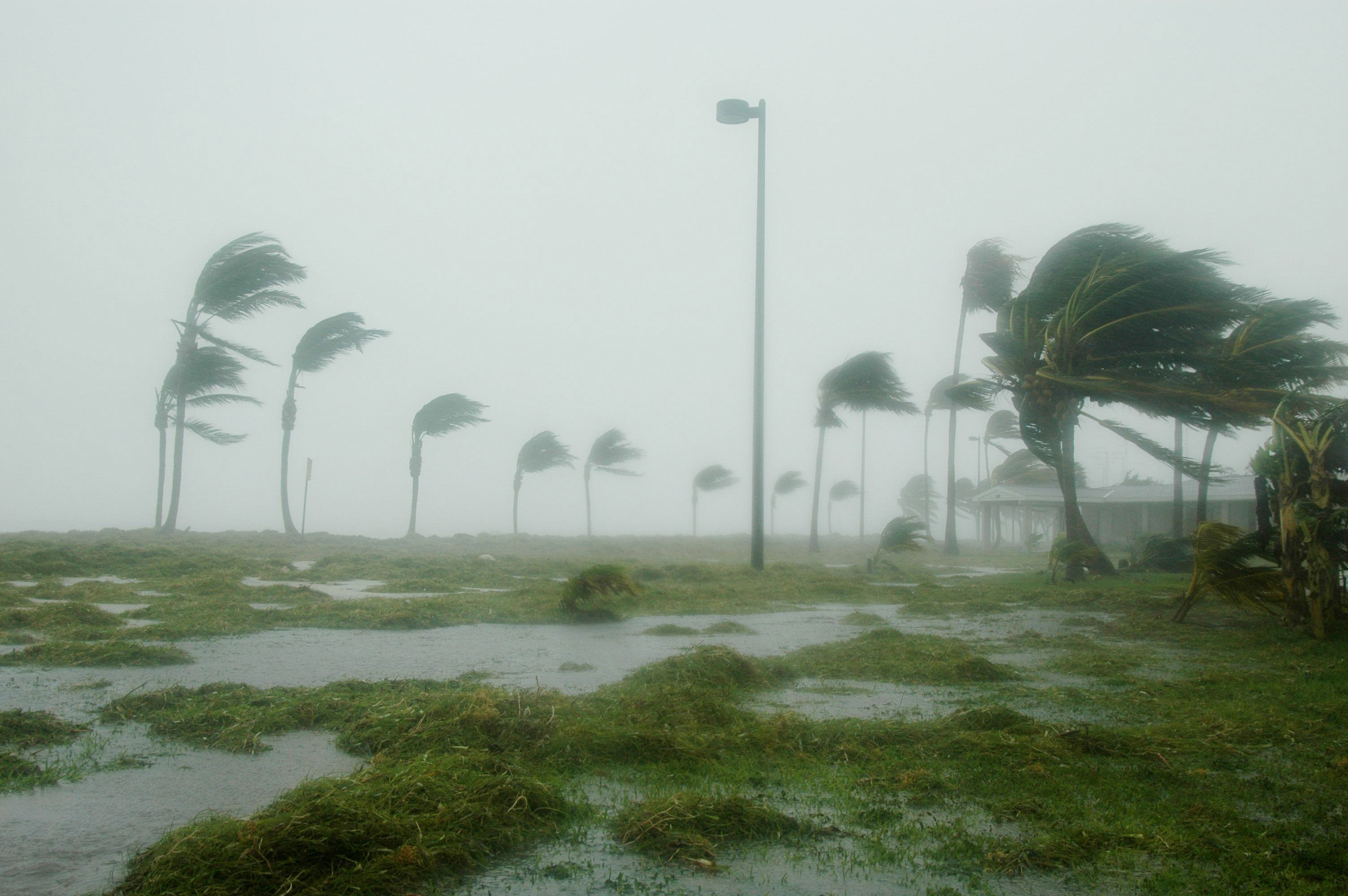 Где самый сильный ветер. Ураган Иэн Флорида. Ураган ветер. Тропический циклон это ветер.